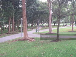 Archipelago (D16), Condominium #147887762
